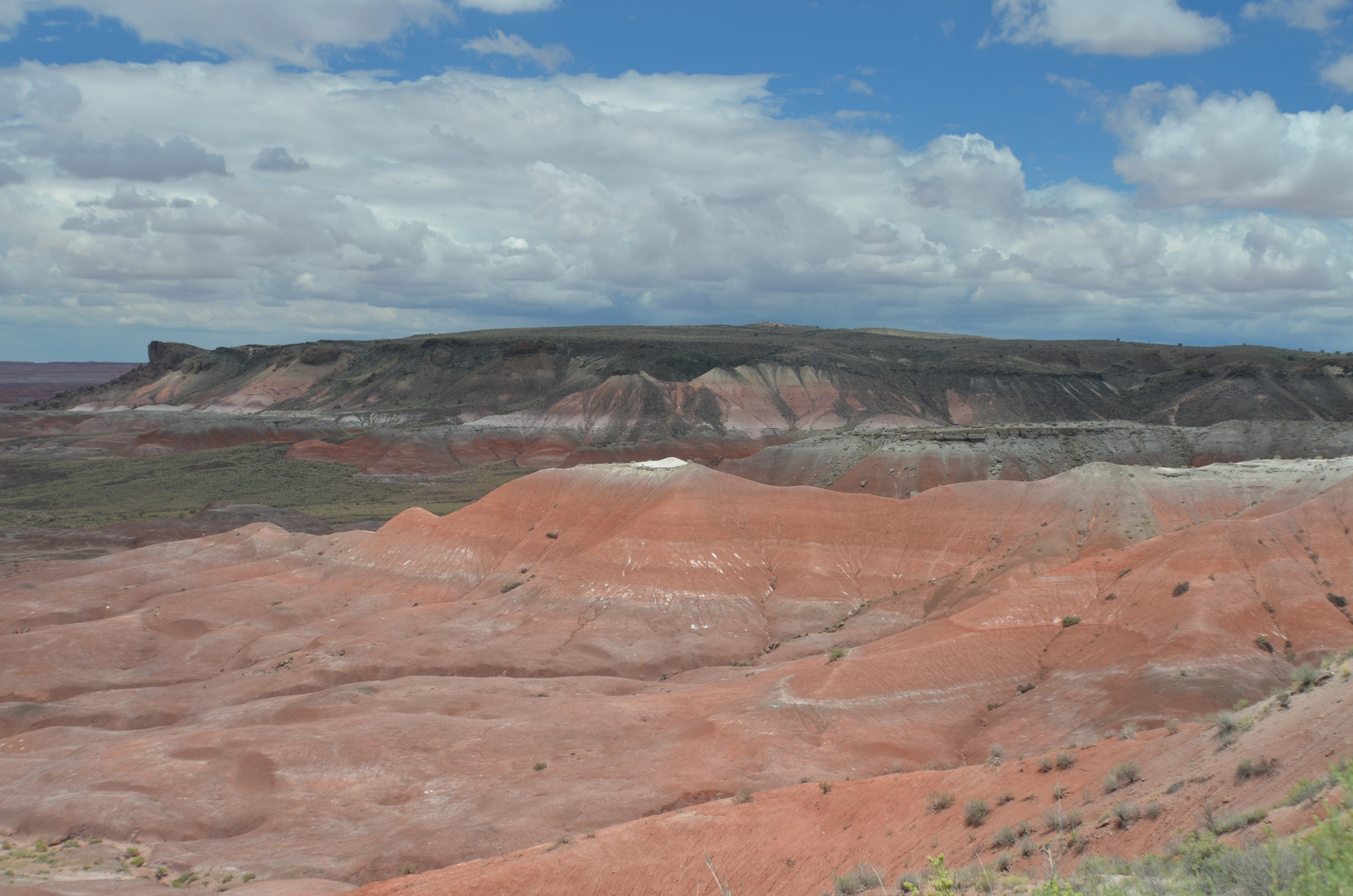 Deserto dipinto