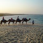 Deserto do Saara?Ops.... Tem o mar ali... Dunas de Jenipabu...