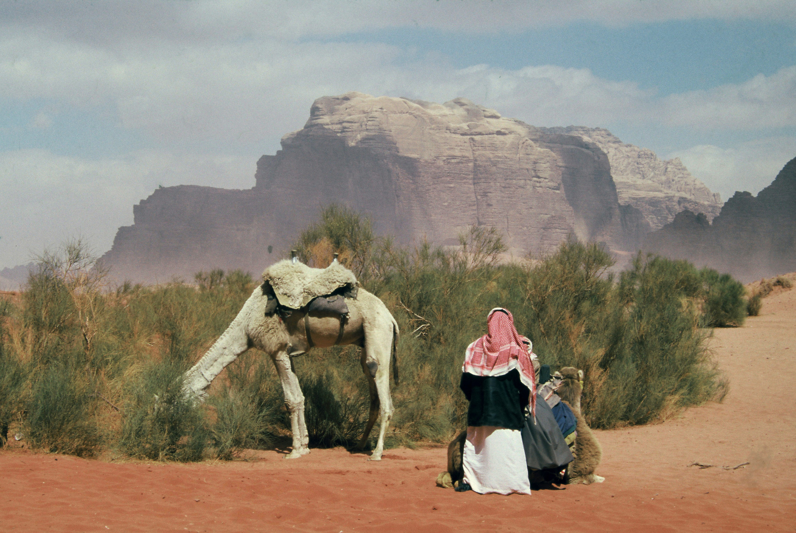 DESERTO LIBICO