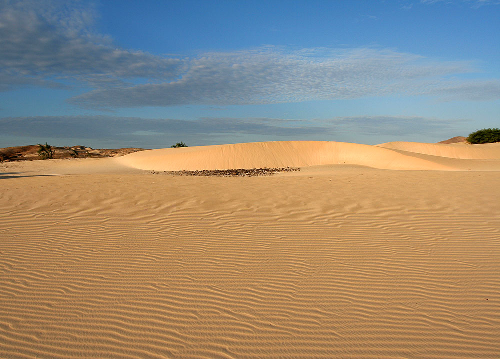 Deserto Viana 2