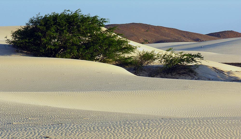 Deserto Viana - Boavista