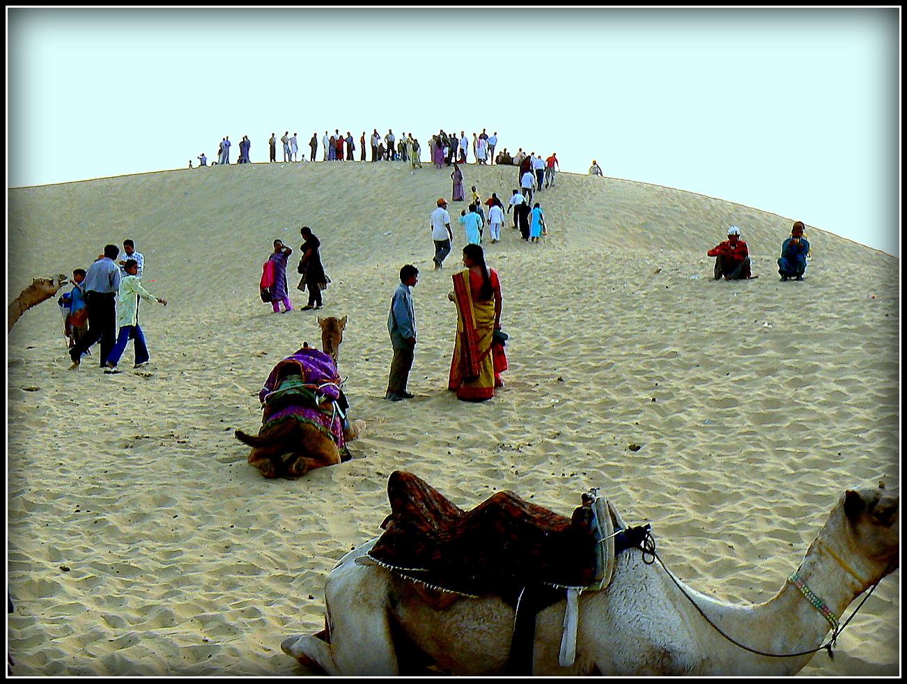 Déserts du Thar photo et image asia, india, south asia Images