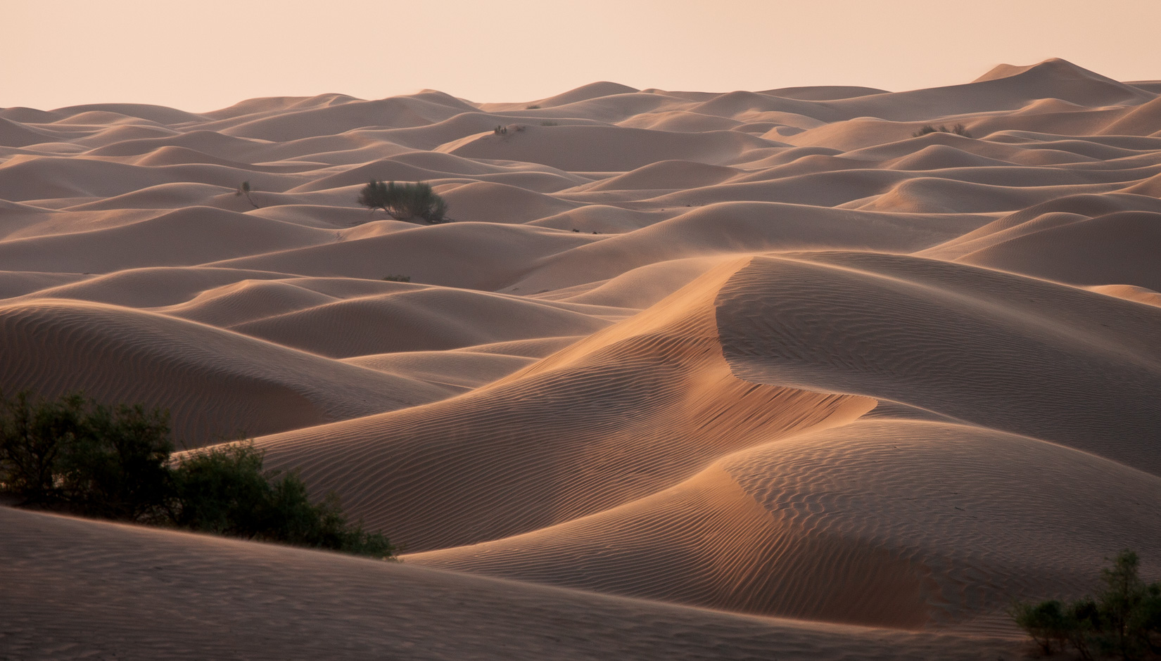 ~~ Desertscape ~~