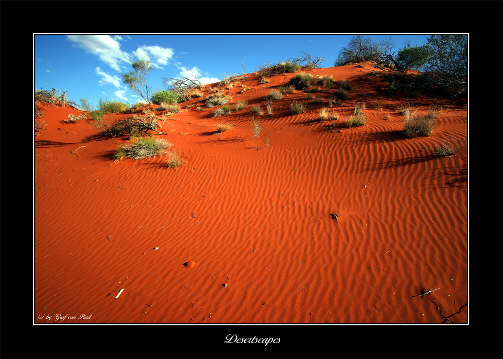 Desertscapes