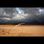 Desertstorm