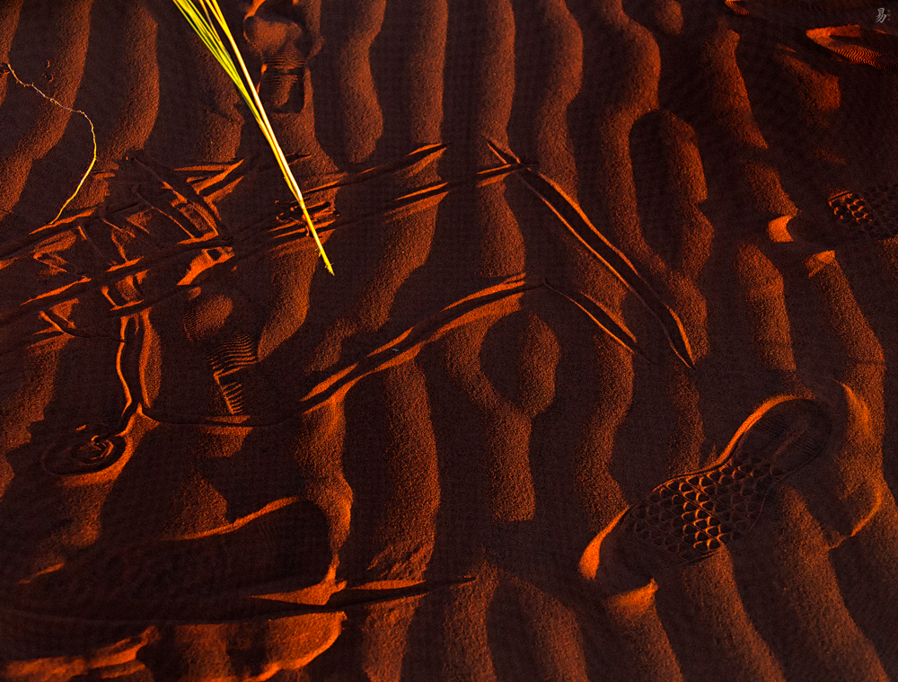 desert.traces