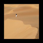 ___desert_VII__