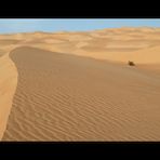 ___desert_VIII___