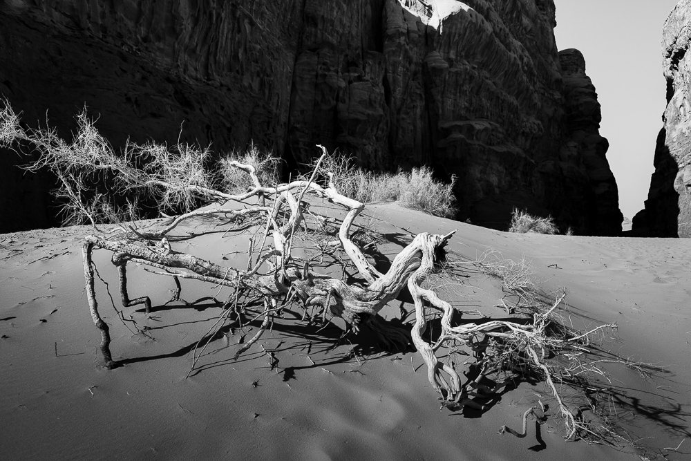 Desert@Wadi Rum@Jordan