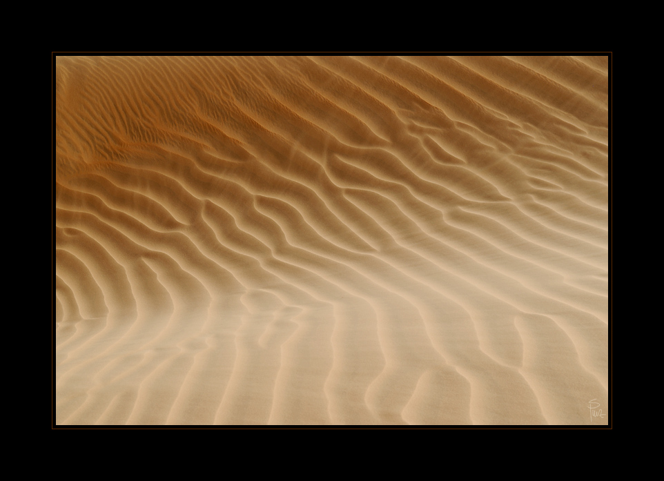 ___desert_XVII___