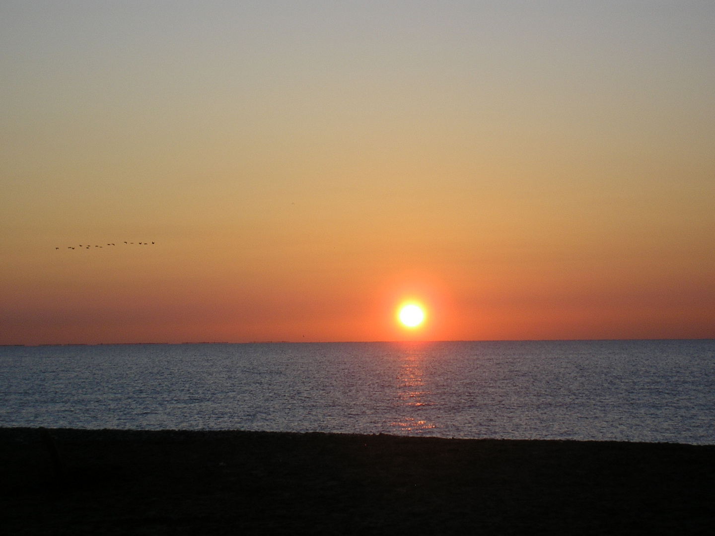 desfile al amanecer