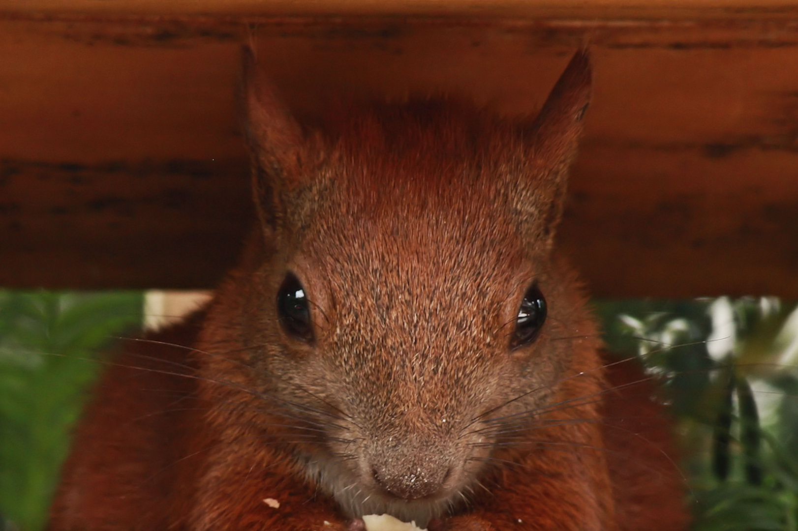 Deshalb hier noch einmal ein aktuelles Fahndungsfoto!