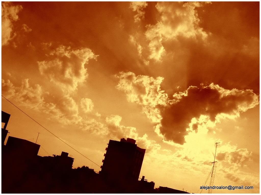 Deshechos de una Tormenta