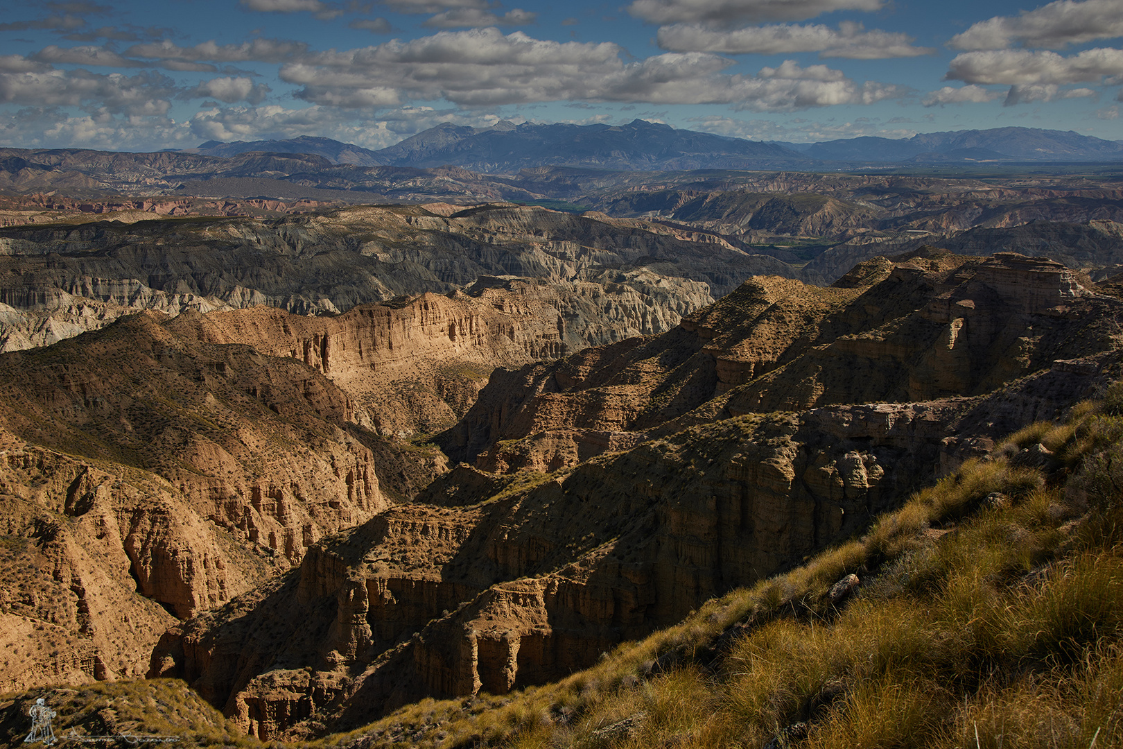 Desierto