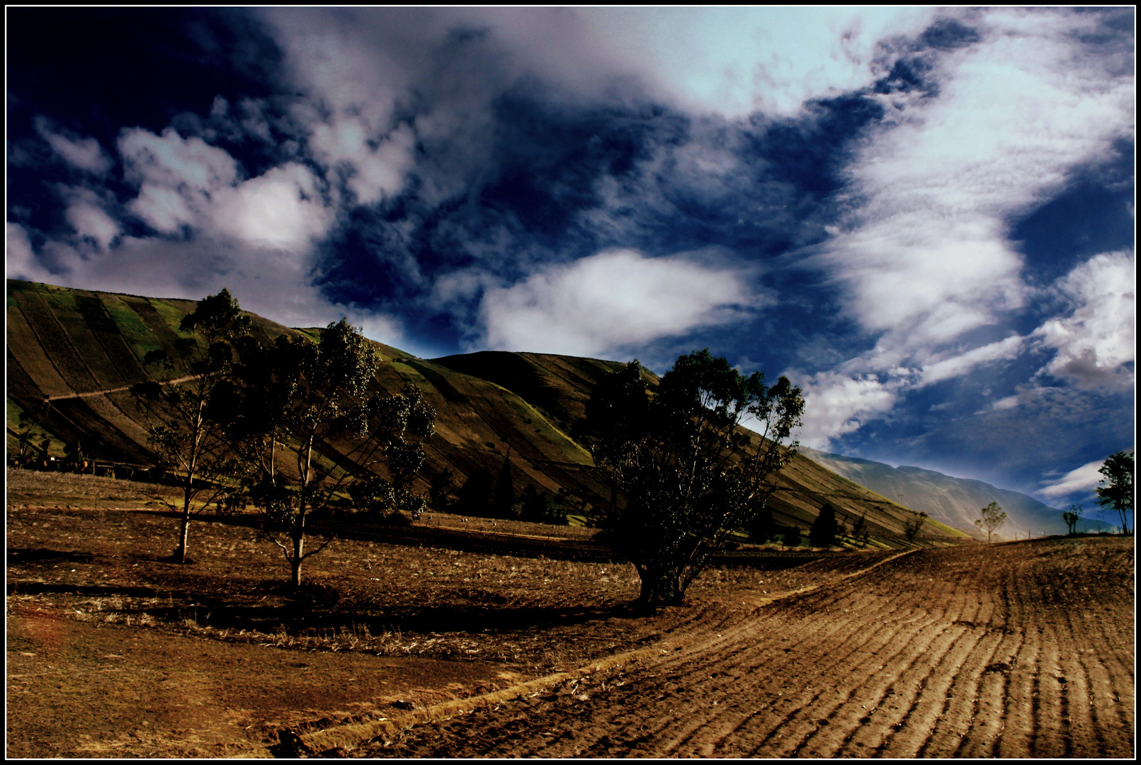 Desierto.