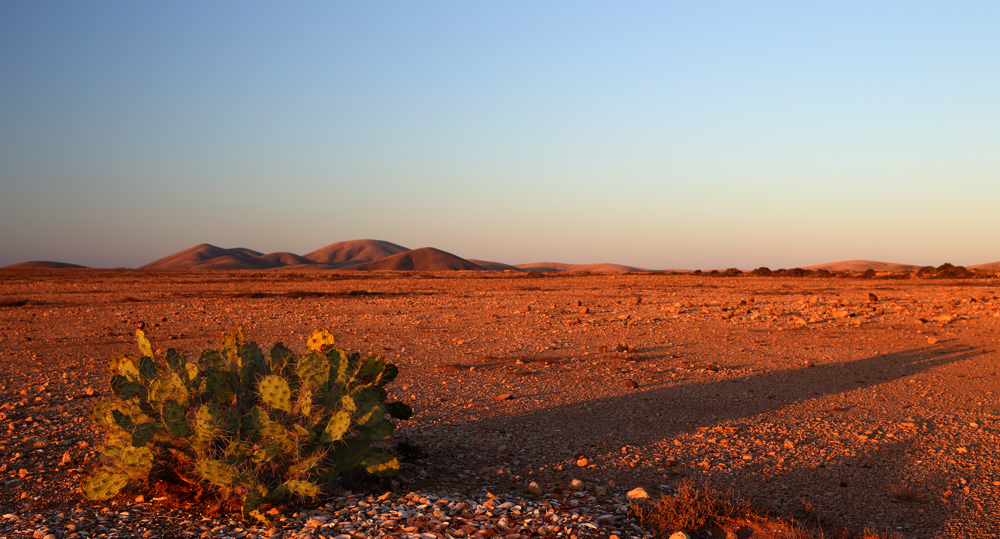 desierto