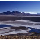 Desierto de Atacama I