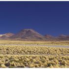 Desierto de Atacama II