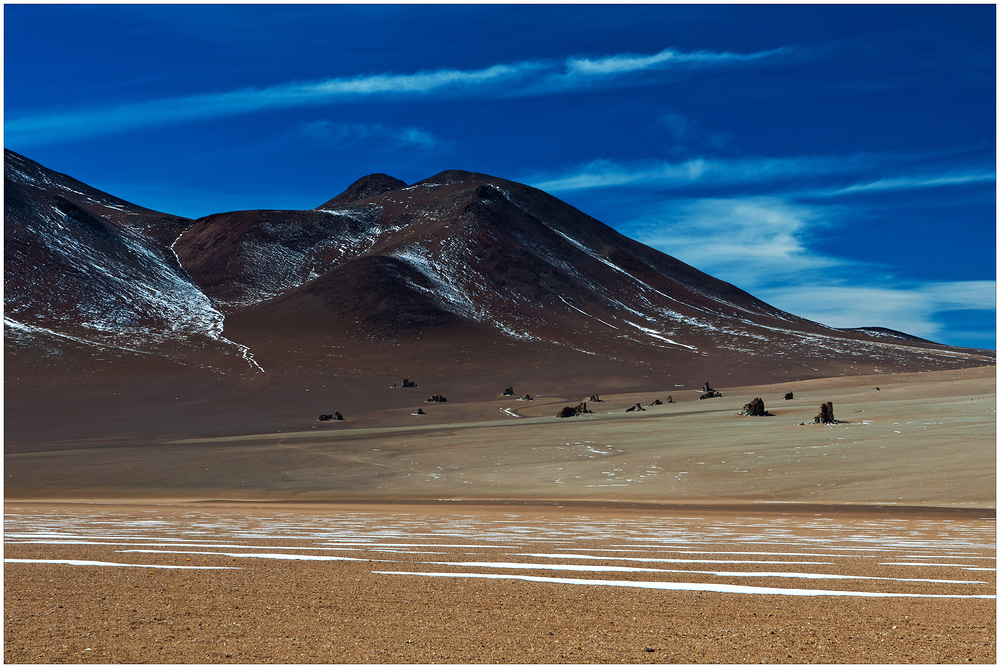 [ Desierto de Salvador Dalí ]