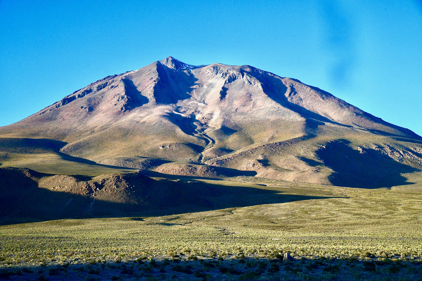 Desierto de Siloli (Bolivien) kurz nach der Regenzeit