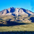 Desierto de Siloli (Bolivien) kurz nach der Regenzeit