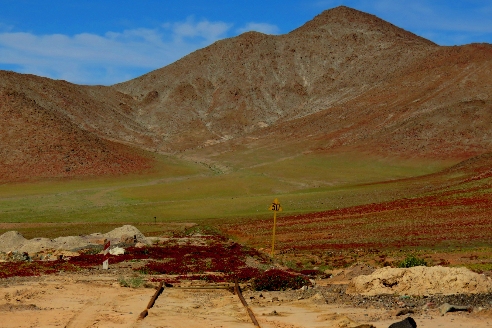 desierto florido sobre linea ferrea