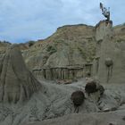 Desierto Gris  de la Tatacao1, Hula  Colombia