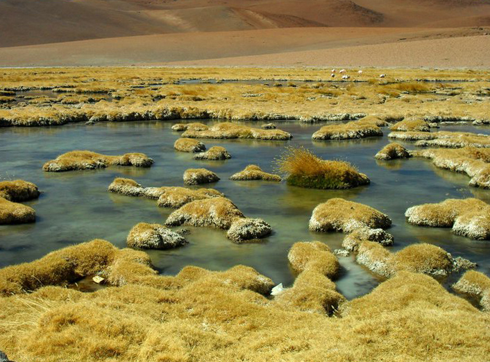 DESIERTO HELADO