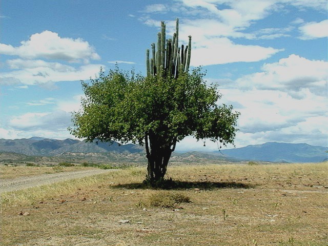 Desierto Tatacoa