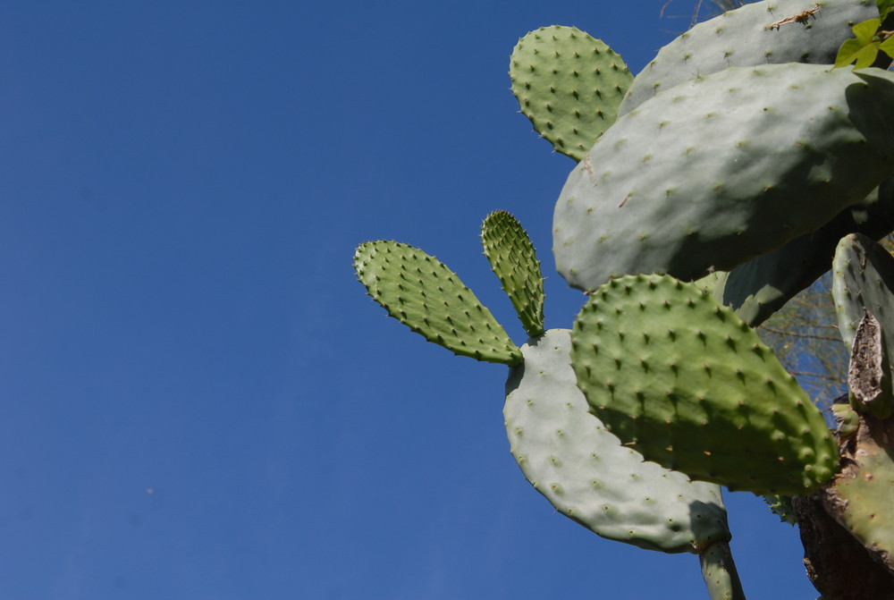 Desierto y cielo