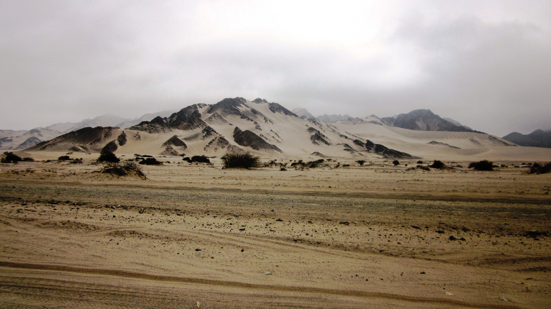 Desierto y niebla