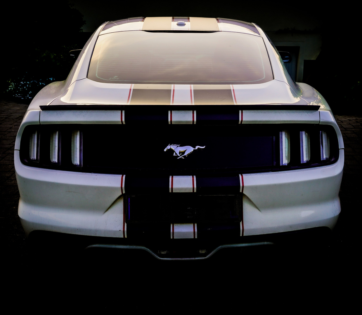 Design mustang 