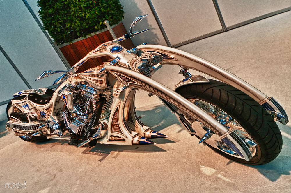 Designer Bike