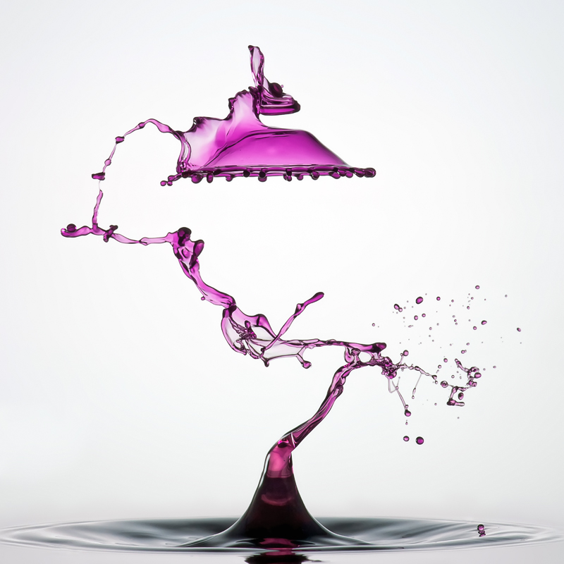 Designer Lampe Foto & Bild