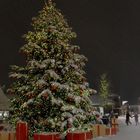 Designer Weihnachtsbaum-Outlet Roermond