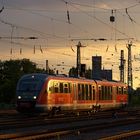 Desiro im Abendlicht