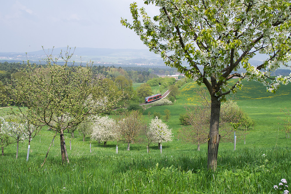 Desiro in Frühlingslandschaft