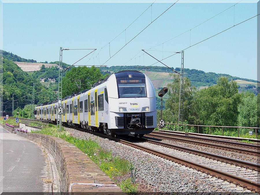 ..Desiro Mainline am Rhein..