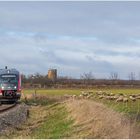 Desiro, Windmühlenruine und Schafe 