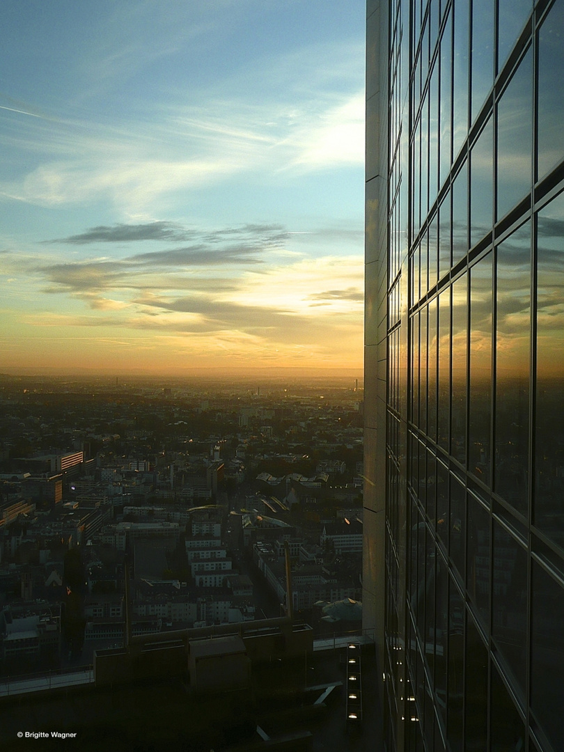 Desk with a view ....