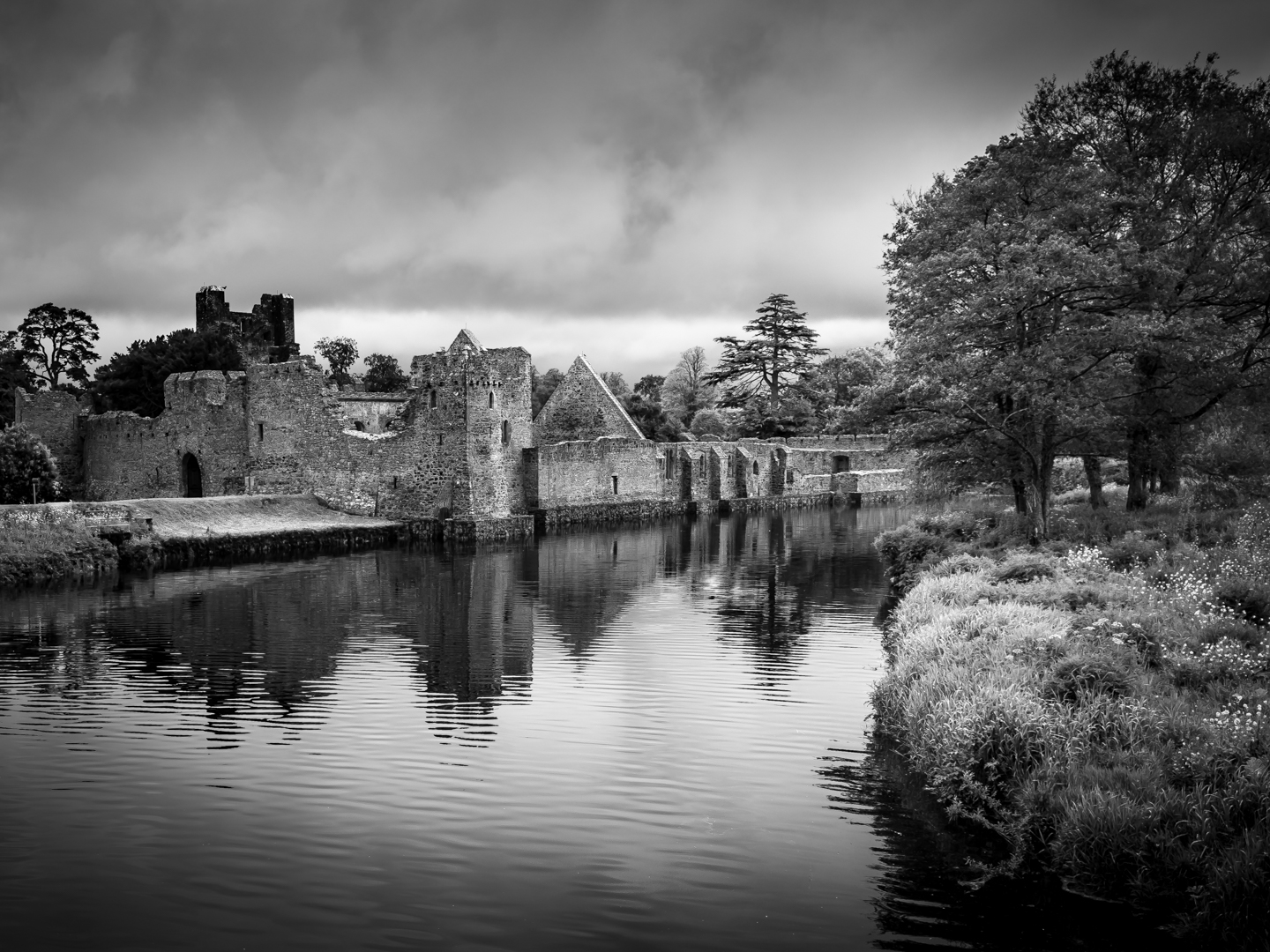 Desmond Castle