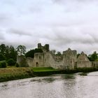 >>Desmond Castle.<<