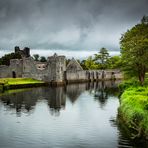 Desmond Castle II