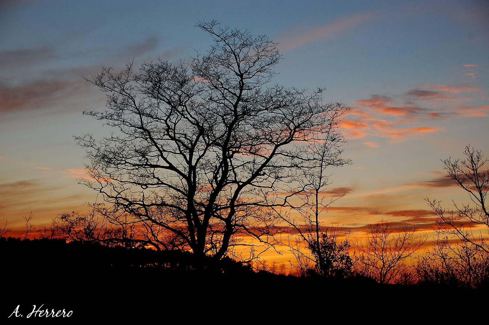 Desnudo al atardecer