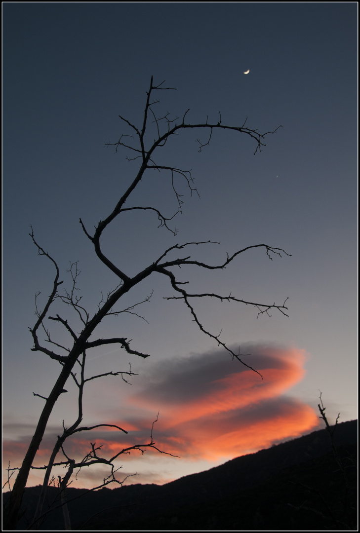 Desnudo al atardecer