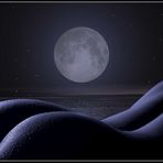 Desnudo azul bajo la luna