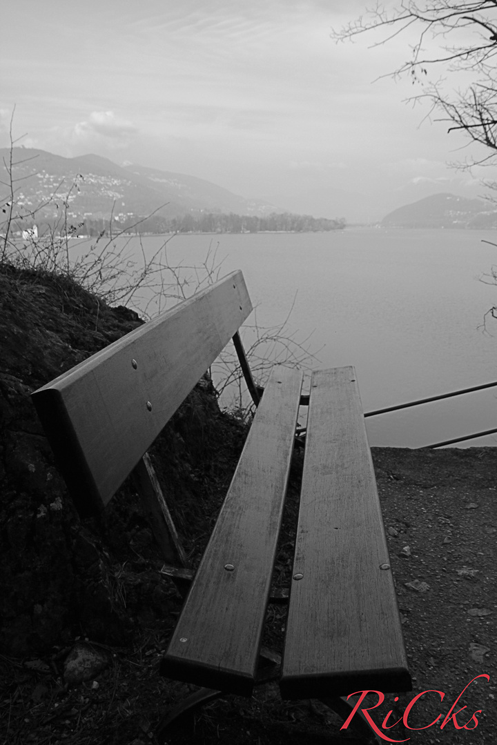 Desolata panchina, Caslano (CH)