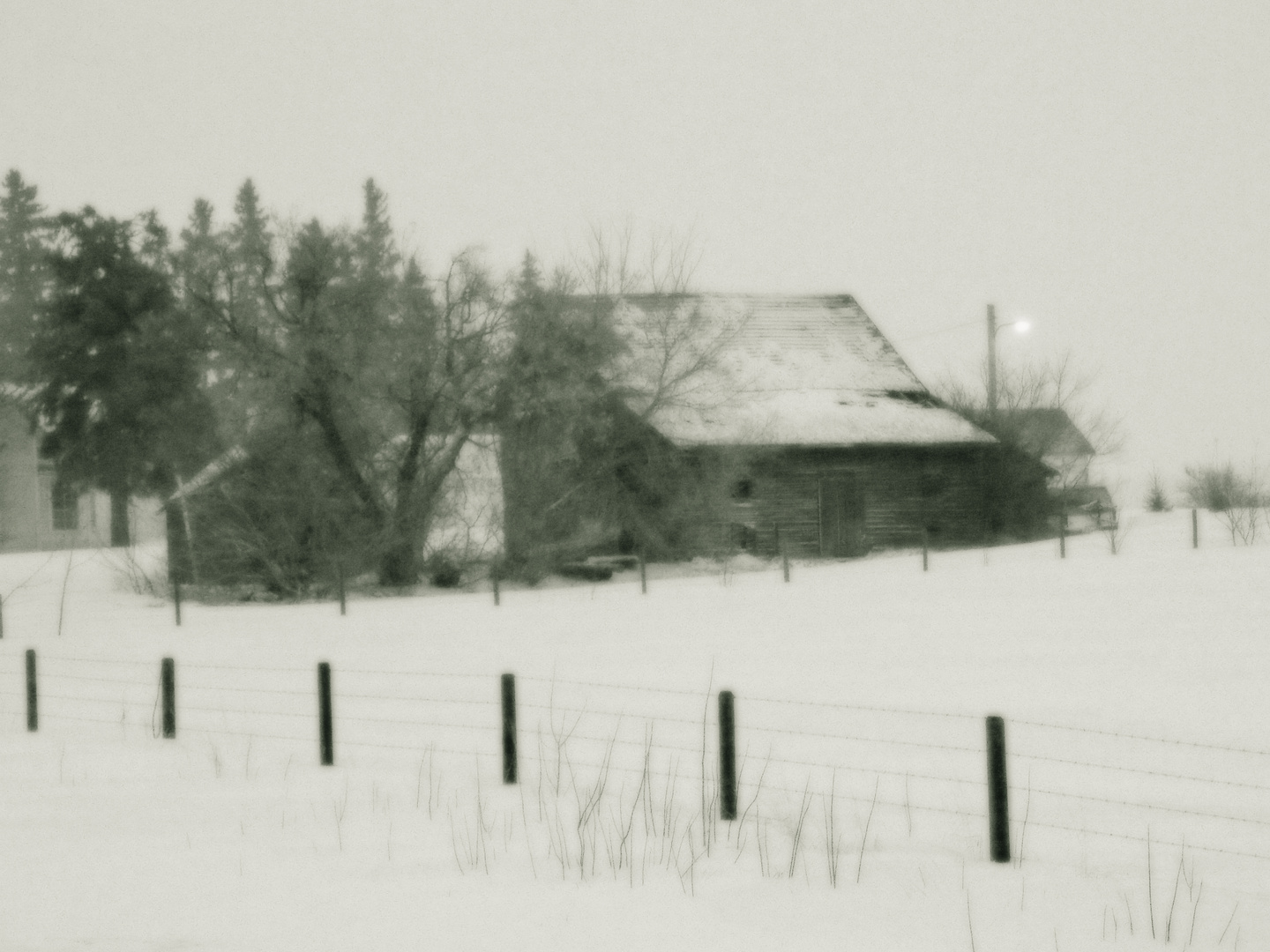 Desolate Farm