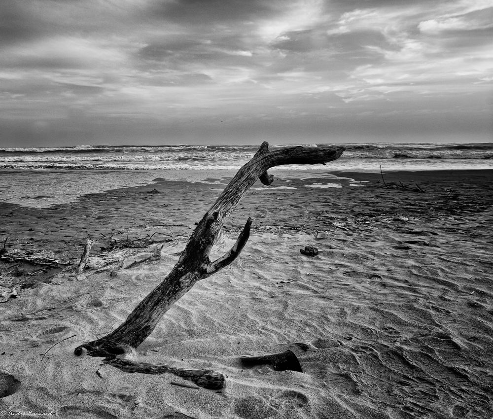 Desolated beach