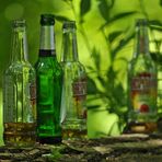 Desperados: Nicht gut für Natur und Mensch 01